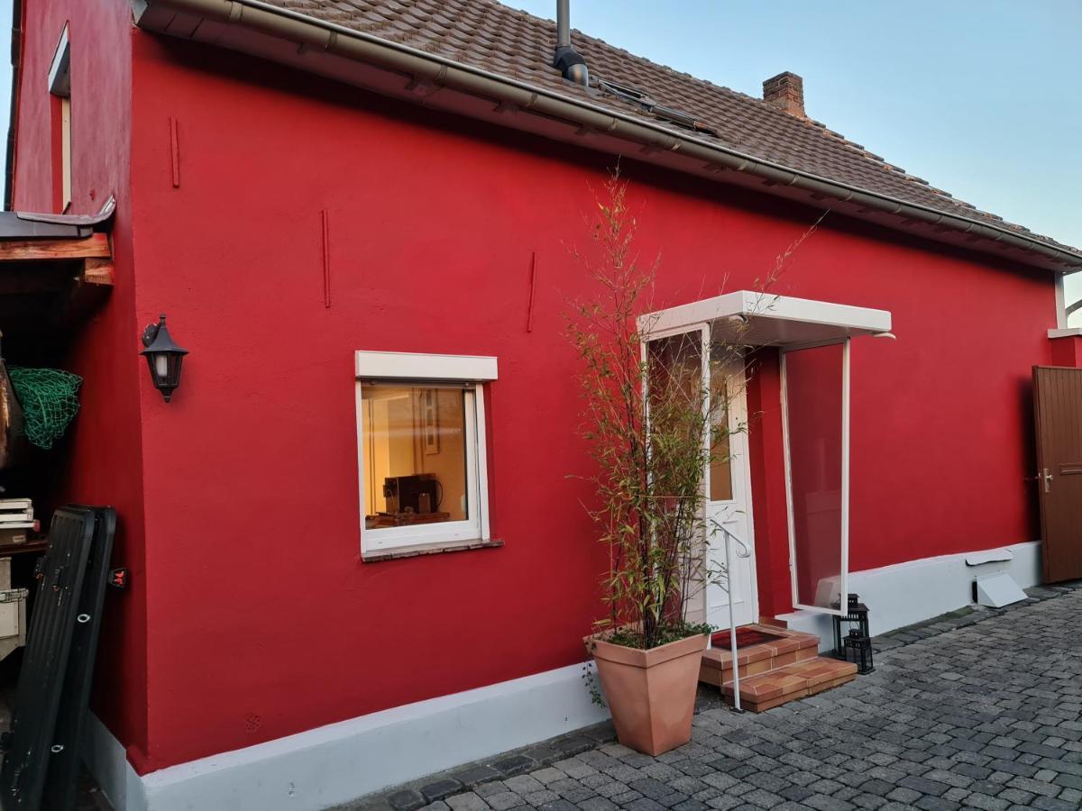 Schoenste Lage Am Rhein In Unmittelbarer Stadtnaehe, B & B Cologne Exterior photo