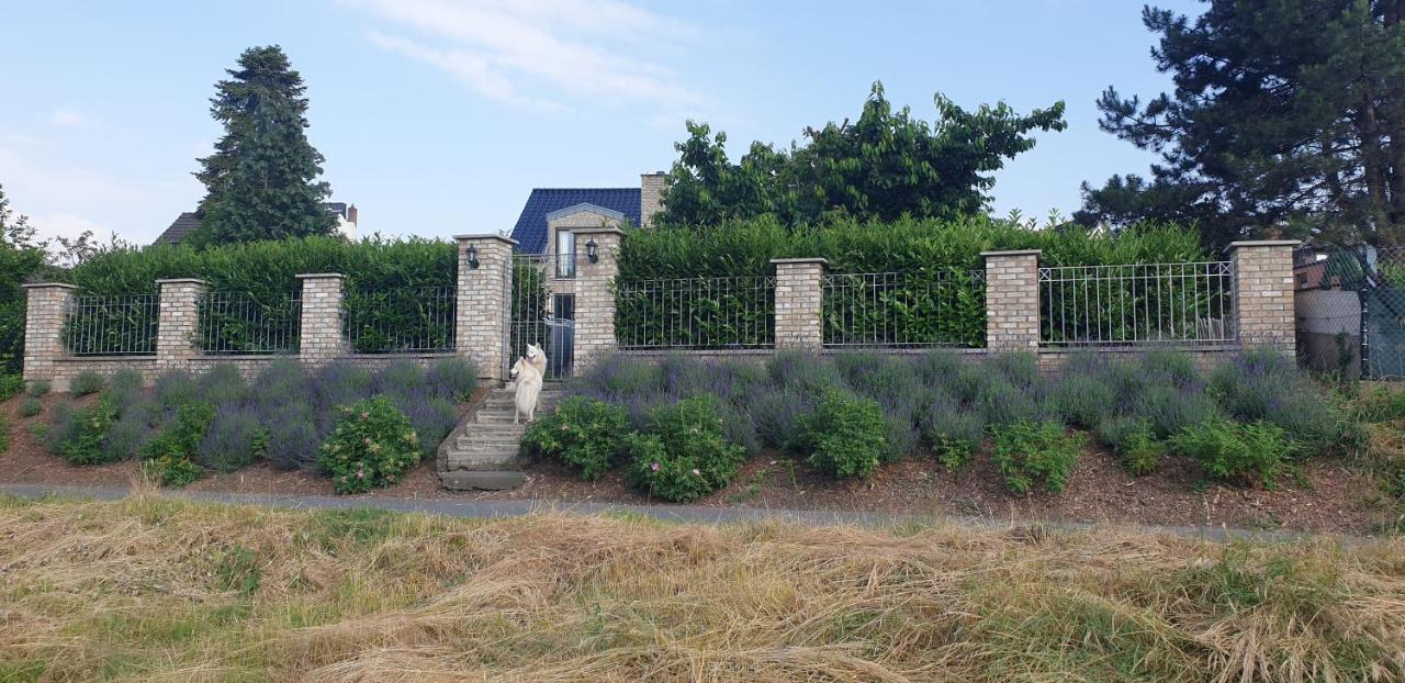 Schoenste Lage Am Rhein In Unmittelbarer Stadtnaehe, B & B Cologne Exterior photo