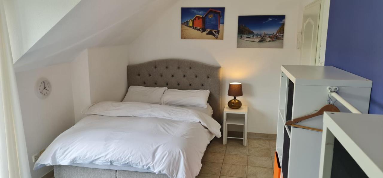 Schoenste Lage Am Rhein In Unmittelbarer Stadtnaehe, B & B Cologne Exterior photo